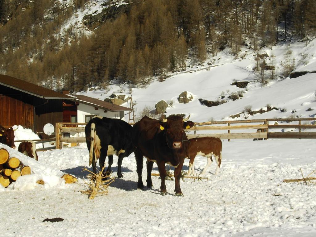 S'Jechlas Sölden Buitenkant foto